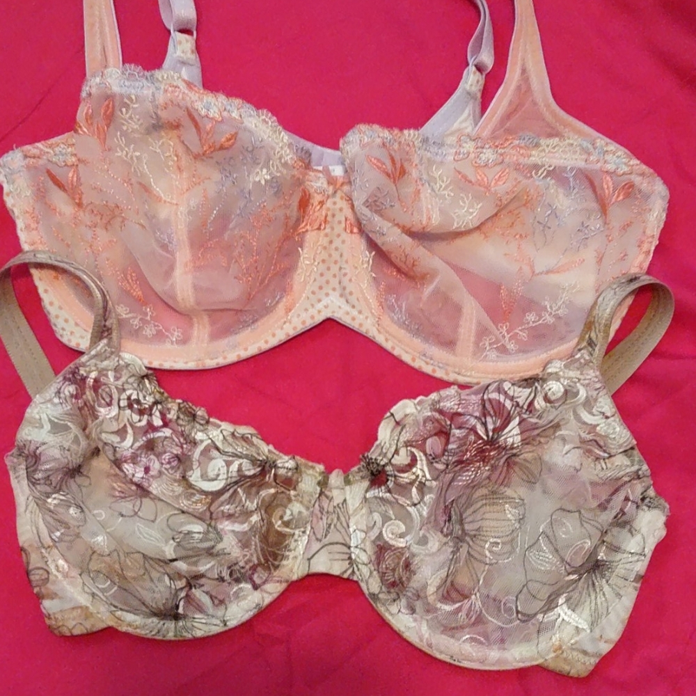 Whimsy Bar's top 36D bottom 34 D